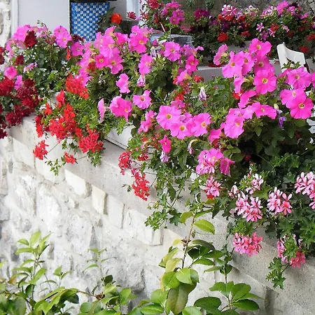 Kestenovi Dvori * Opatija
