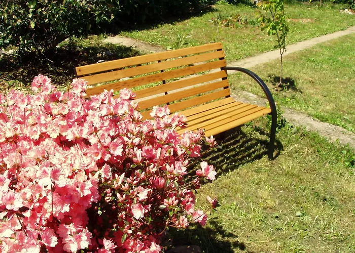 Kestenovi Dvori Apartmán *