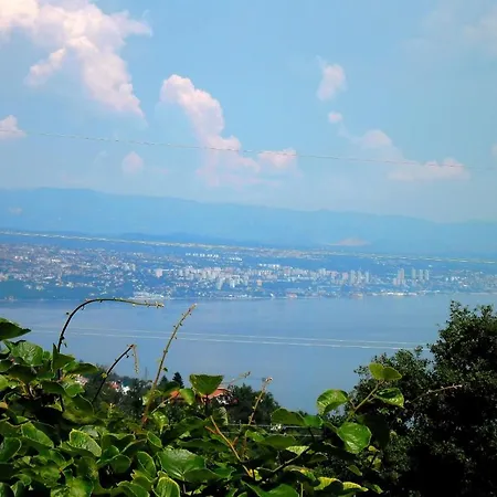 Kestenovi Dvori 오파티아