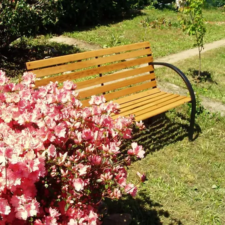 Kestenovi Dvori Apartmán *